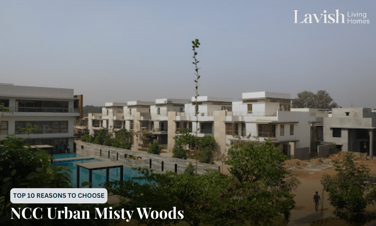 NCC Urban Misty Woods project elevation