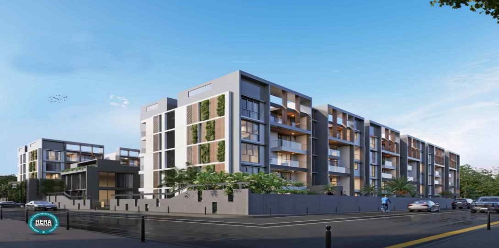 Radiance Floresta — project photograph
