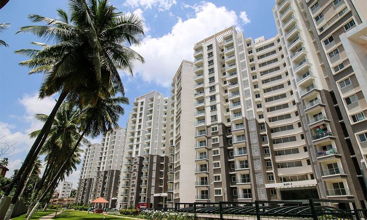 Purva 270 Purva Season Phase project elevation