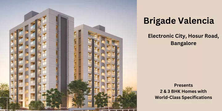 Cielo Brigade Valencia project elevation