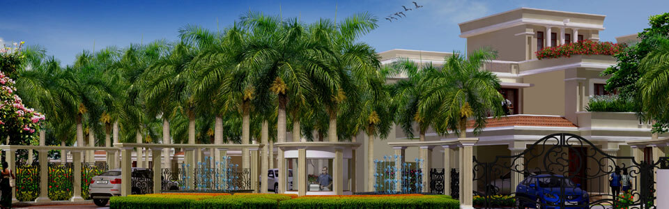 Nvt Arcot Vaksana — project photograph