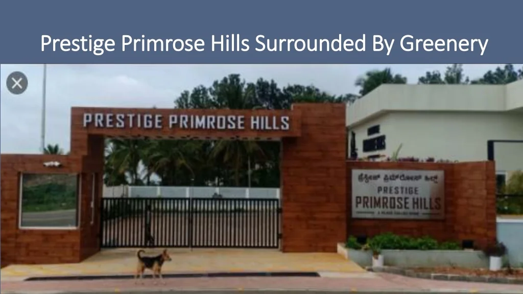 Prestige Primrose Hills Review project elevation