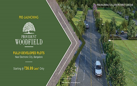 Provident Woodfield master plan — site layout