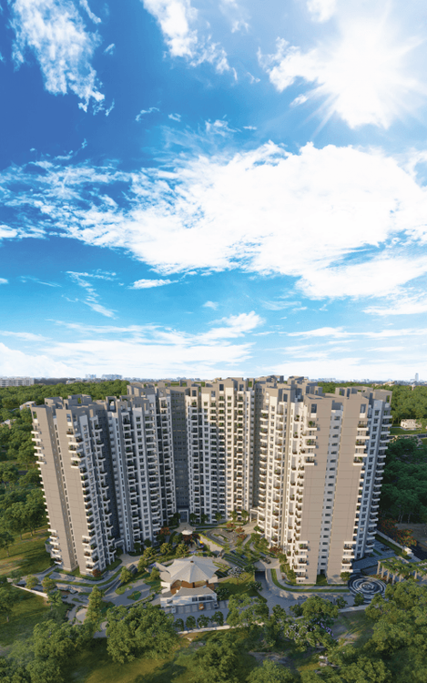 Purva Park Hill — project photograph