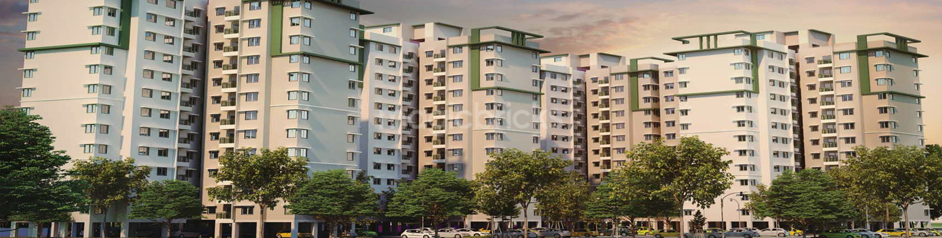 Provident Equinox Mysore project elevation
