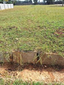 Divyasree Yelahanka Review 2026 — Price, RERA & Score | Brickplot — site photograph